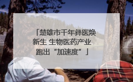 楚雄市千年彝医焕新生 生物医药产业跑出“加速度”