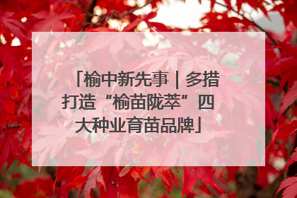 榆中新先事｜多措打造“榆苗陇萃”四大种业育苗品牌