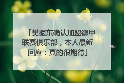 樊振东确认加盟德甲联赛俱乐部，本人最新回应：真的很期待