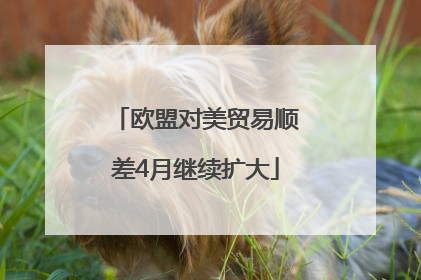 欧盟对美贸易顺差4月继续扩大