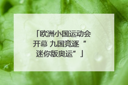 欧洲小国运动会开幕 九国竞逐“迷你版奥运”