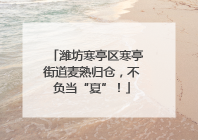 潍坊寒亭区寒亭街道麦熟归仓，不负当“夏”！