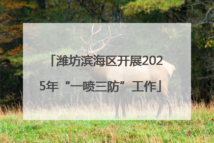 潍坊滨海区开展2025年“一喷三防”工作