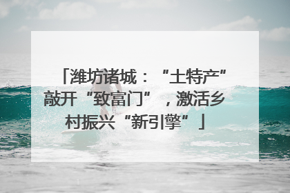 潍坊诸城：“土特产”敲开“致富门”，激活乡村振兴“新引擎”
