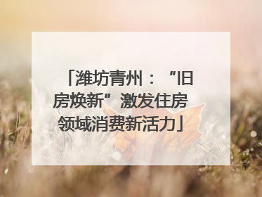潍坊青州：“旧房焕新”激发住房领域消费新活力