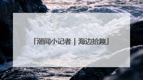潮闻小记者｜海边拾趣