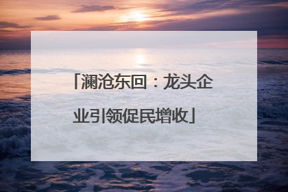 澜沧东回：龙头企业引领促民增收
