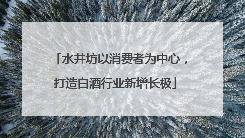 水井坊以消费者为中心，打造白酒行业新增长极