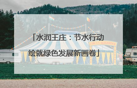 水润王庄：节水行动绘就绿色发展新画卷
