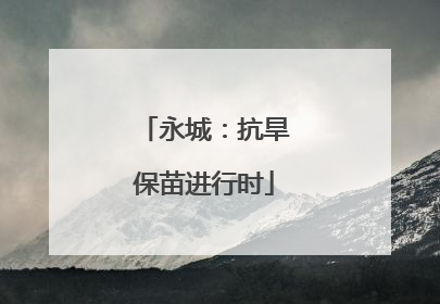 永城：抗旱保苗进行时