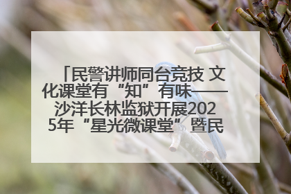 民警讲师同台竞技 文化课堂有“知”有味——沙洋长林监狱开展2025年“星光微课堂”暨民警优质课竞赛