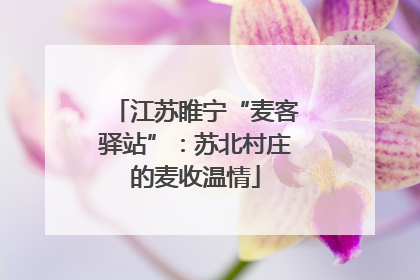江苏睢宁“麦客驿站”：苏北村庄的麦收温情
