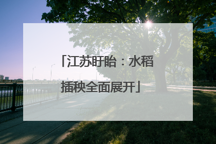 江苏盱眙：水稻插秧全面展开
