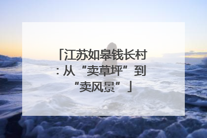 江苏如皋钱长村：从“卖草坪”到“卖风景”