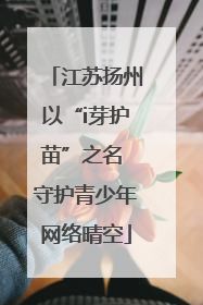 江苏扬州以“i芽护苗”之名 守护青少年网络晴空