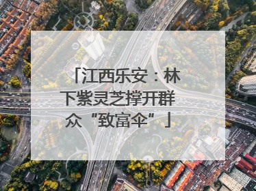 江西乐安：林下紫灵芝撑开群众“致富伞”