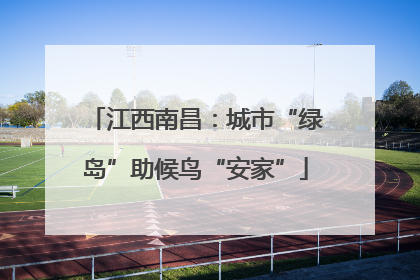 江西南昌：城市“绿岛”助候鸟“安家”