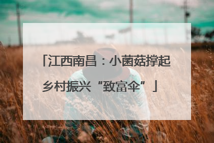 江西南昌：小菌菇撑起乡村振兴“致富伞”
