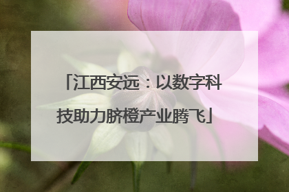 江西安远：以数字科技助力脐橙产业腾飞