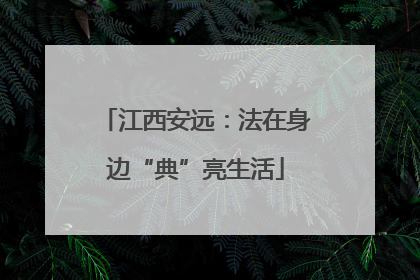 江西安远：法在身边“典”亮生活