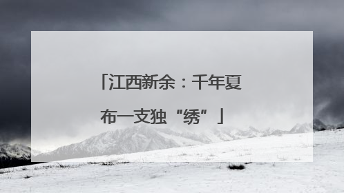 江西新余：千年夏布一支独“绣”