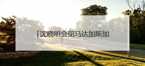 沈晓明会见马达加斯加外交部长拉萨塔一行