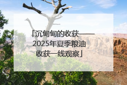 沉甸甸的收获——2025年夏季粮油收获一线观察