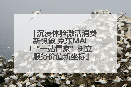 沉浸体验激活消费新想象 京东MALL“一站置家”树立服务价值新坐标
