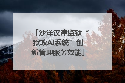 沙洋汉津监狱“狱政AI系统”创新管理服务效能
