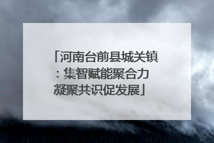 河南台前县城关镇：集智赋能聚合力 凝聚共识促发展