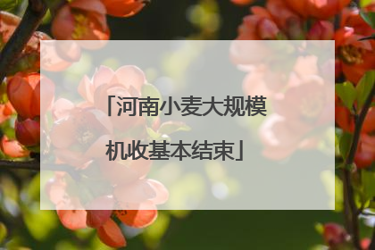 河南小麦大规模机收基本结束