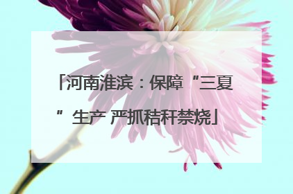 河南淮滨：保障“三夏”生产 严抓秸秆禁烧
