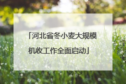 河北省冬小麦大规模机收工作全面启动