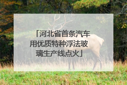 河北省首条汽车用优质特种浮法玻璃生产线点火