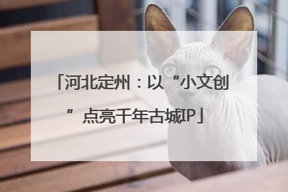 河北定州：以“小文创”点亮千年古城IP