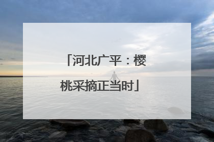 河北广平：樱桃采摘正当时