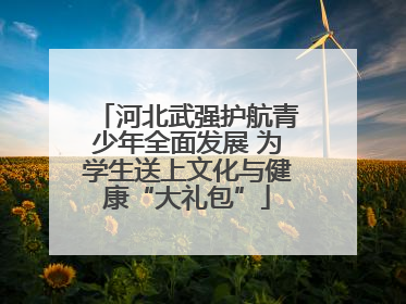 河北武强护航青少年全面发展 为学生送上文化与健康“大礼包”
