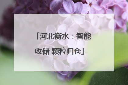 河北衡水：智能收储 颗粒归仓