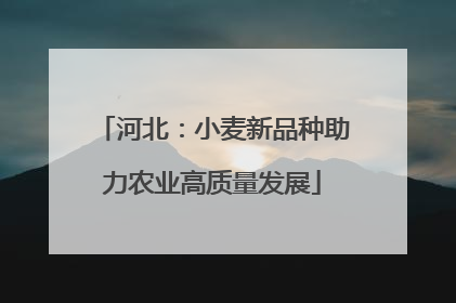河北：小麦新品种助力农业高质量发展