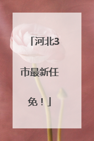 河北3市最新任免！