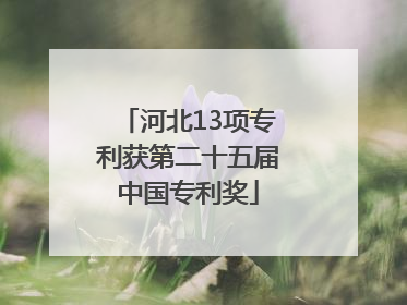 河北13项专利获第二十五届中国专利奖