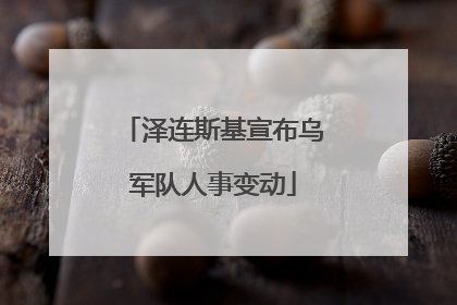 泽连斯基宣布乌军队人事变动