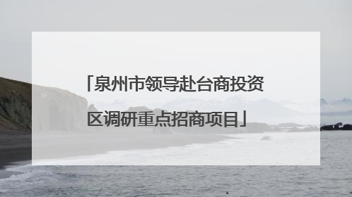 泉州市领导赴台商投资区调研重点招商项目