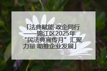 法典赋能·政企同行——锦江区2025年“民法典宣传月”汇聚力量 助推企业发展