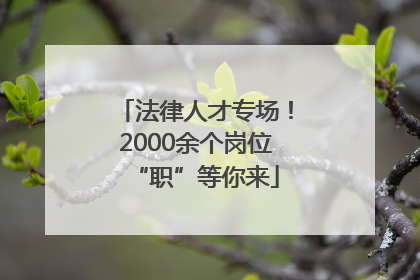 法律人才专场！2000余个岗位“职”等你来