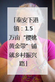 泰安下港镇：1.5万亩“樱桃黄金带”铺就乡村振兴路