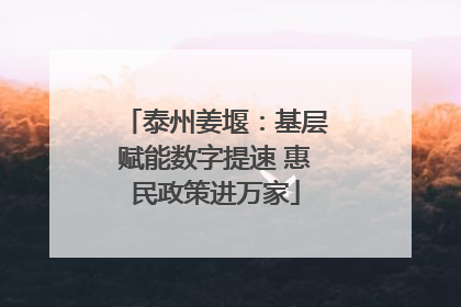 泰州姜堰：基层赋能数字提速 惠民政策进万家