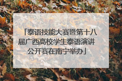 泰语技能大赛暨第十八届广西高校学生泰语演讲公开赛在南宁举办