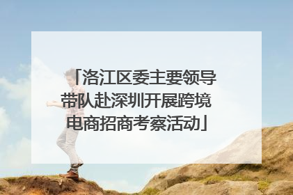 洛江区委主要领导带队赴深圳开展跨境电商招商考察活动