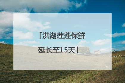 洪湖莲蓬保鲜延长至15天